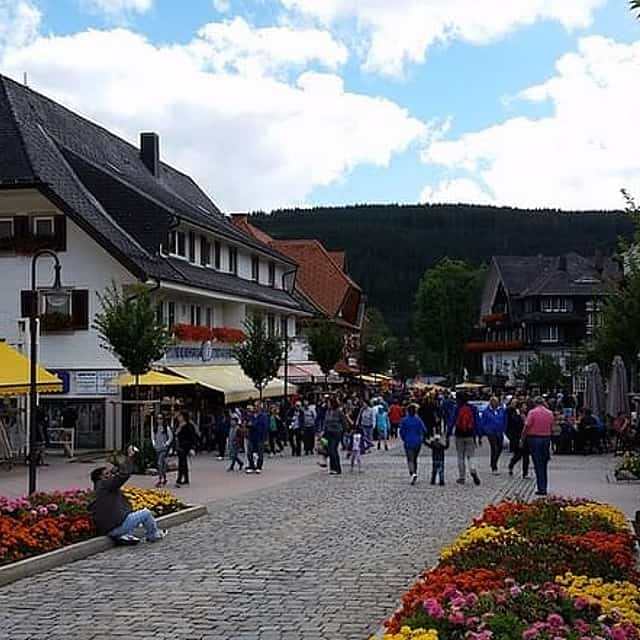 ทัวร์ส่วนตัวเต็มวันจากซูริกสู่ทะเลสาบ Titisee ป่าดำ
