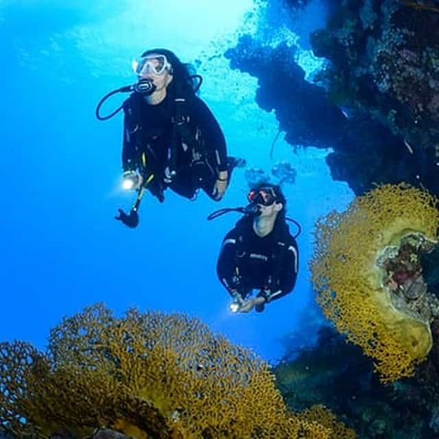 Full Day Fun Dive Open Water Within 18 Meter Depth at Tulamben Sea