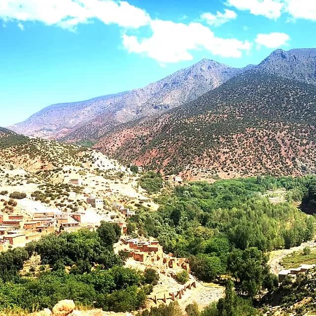 Day Trip from Marrakech to the Argan Cooperative