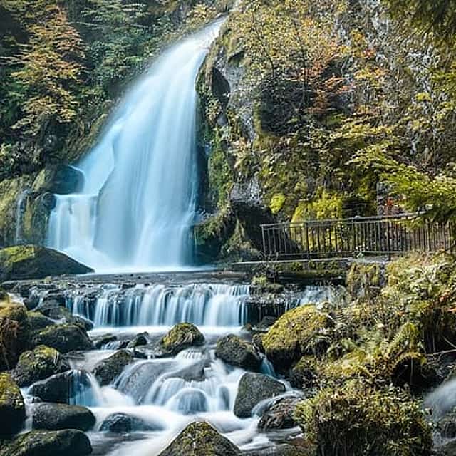 Private day trip from Frankfurt to Black Forest and Baden-Baden