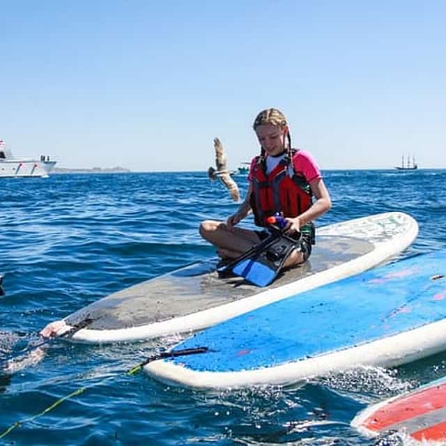 Private Cabo Paddle Board & Snorkel Adventure to the Arch