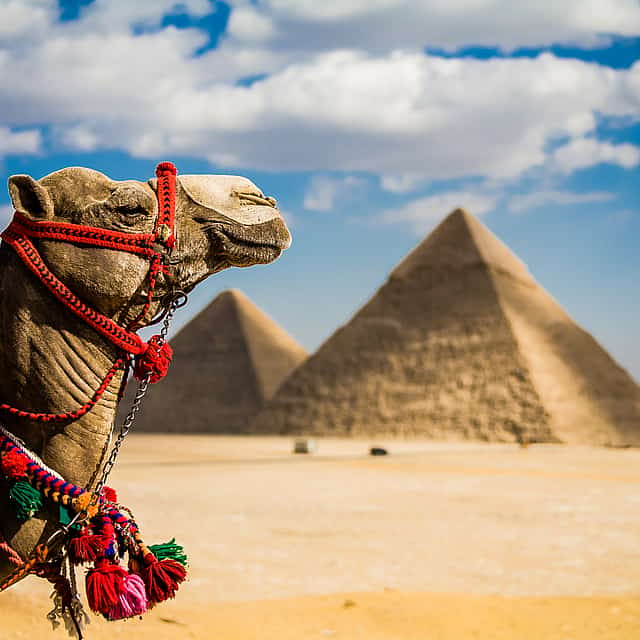 Day Tour to Cairo from Sharm El Sheikh by Plane