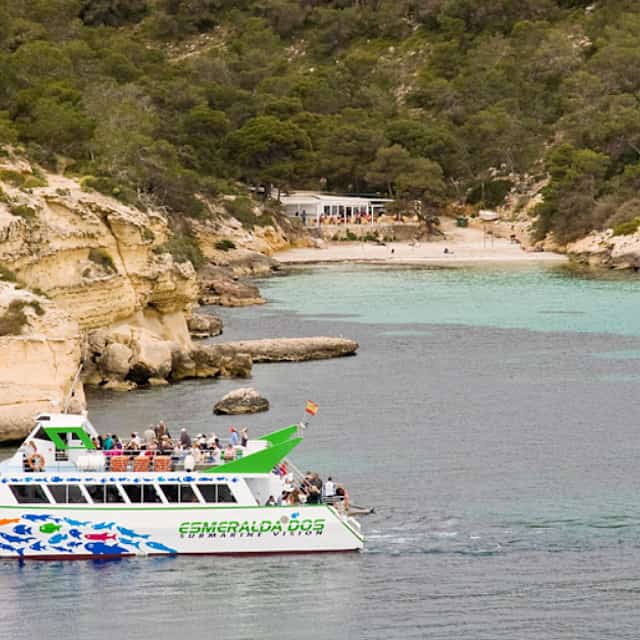 Two-Hour Dolphin Spotting Catamaran Cruise Ticket