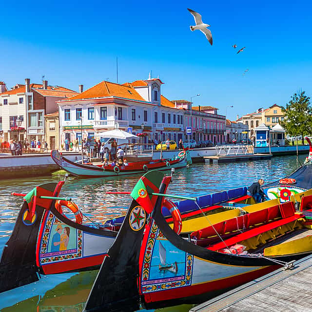 Aveiro & Coimbra Tour Privado
