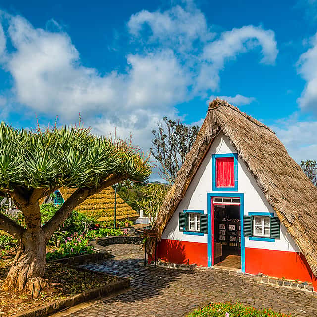Excursión de día completo a lo mejor del este de Madeira
