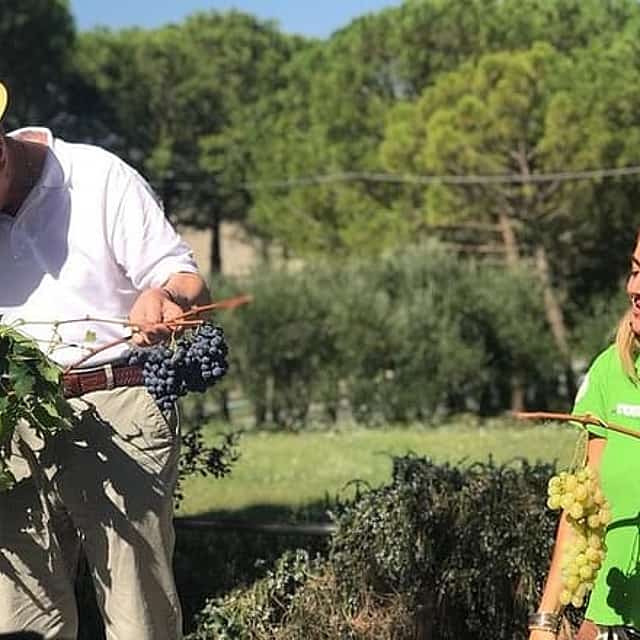 Val d’Orcia Wine Tour με Γεύμα & Brunello από τη Σιένα