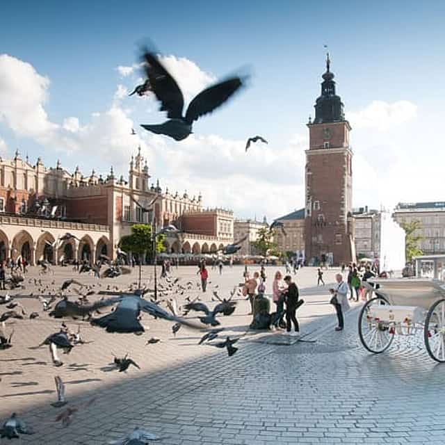 Krakow Old Town Tour - PRIVATE tour from Katowice (8h)