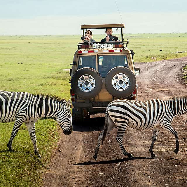 3-day Private Safari to Tarangire, Lake Eyasi and Ngorongoro Crater from Arusha