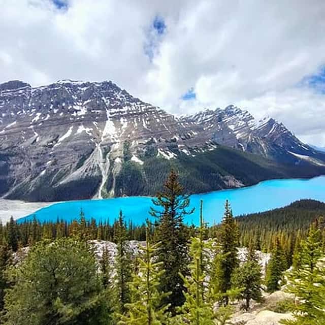 Lake Louise, Moraine Lake, Peyto Lake, Crowfoot Tour from Calgary
