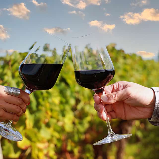 Private Half-day Tour with Cape Winelands, Stellenbosch