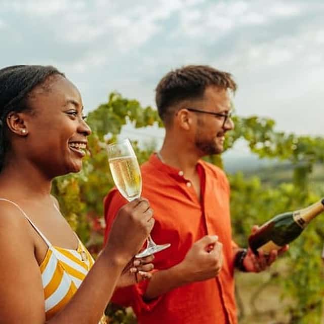 Excursão de um dia particular em Champagne - Duas vinícolas de Reims e almoço