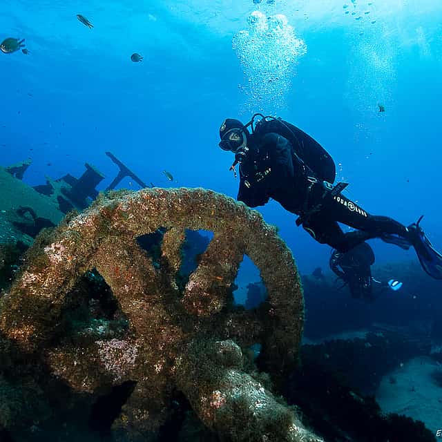 Azores: Diving in São Miguel Island