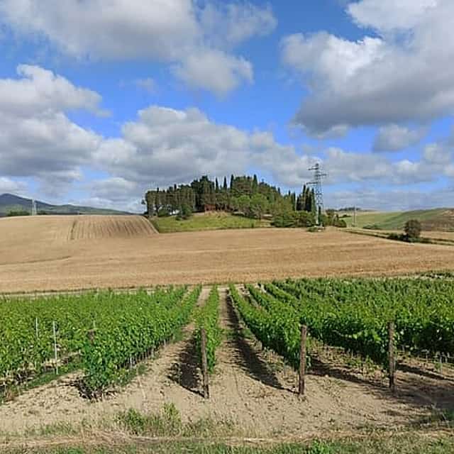 PRIVATE TOUR "Ramble through the Rolling Hills Of Chianti"+ lunch & wine tasting