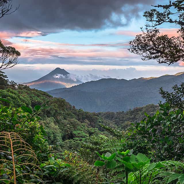 Tour to the Cloud Forest of Monteverde