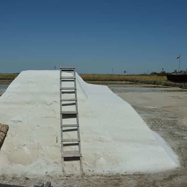 Cervia: unveiling the ancient Salt Pans