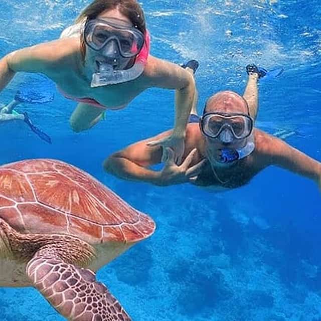 Full Day Private Tour Swim with Turtles and Dugong in Marsa Alam