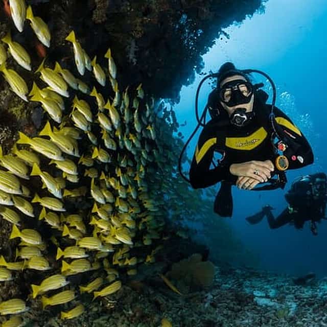Dubai Discover Scuba Diving Adventure
