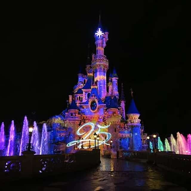 Private Disneyland Trip with Valle Village and Indian Dinner