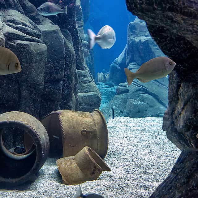 Heraklion Sightseeing Tour with Cretaquarium