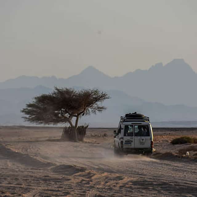 Shore Excursions: Adrenaline Rush Desert Adventure from Safaga