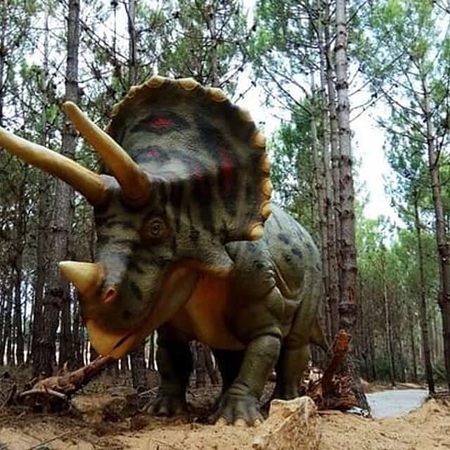 Parc des Dinosaures - Visite familiale d'une demi-journée