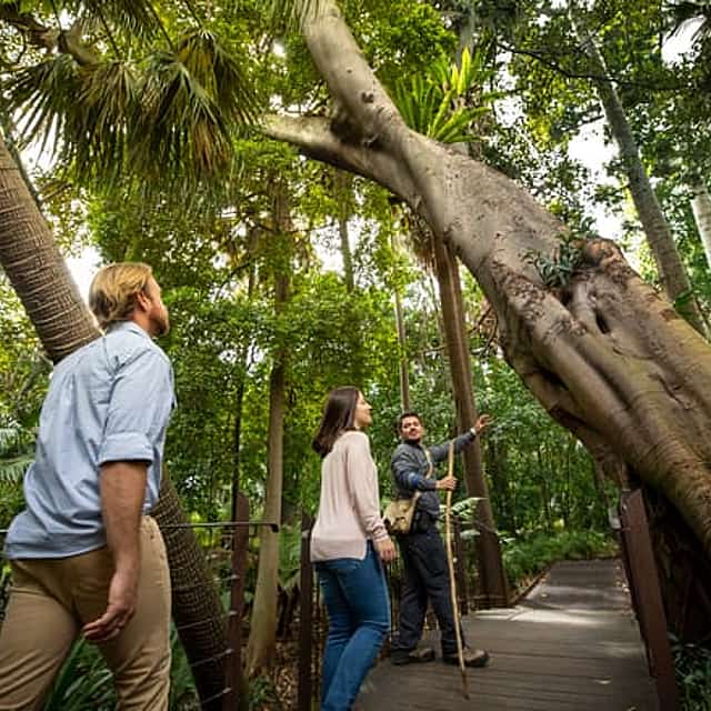Aboriginal Heritage Walk