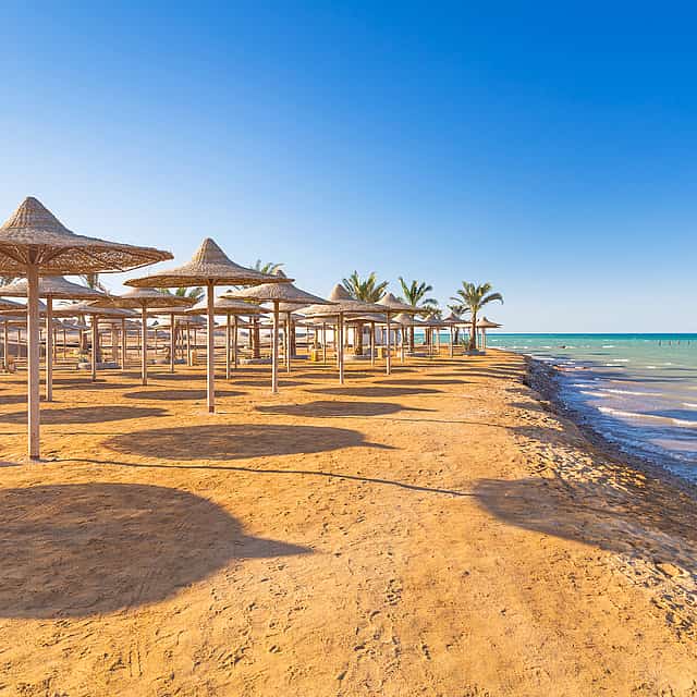 جولة خاصة ليوم كامل إلى البحر الأحمر من القاهرة