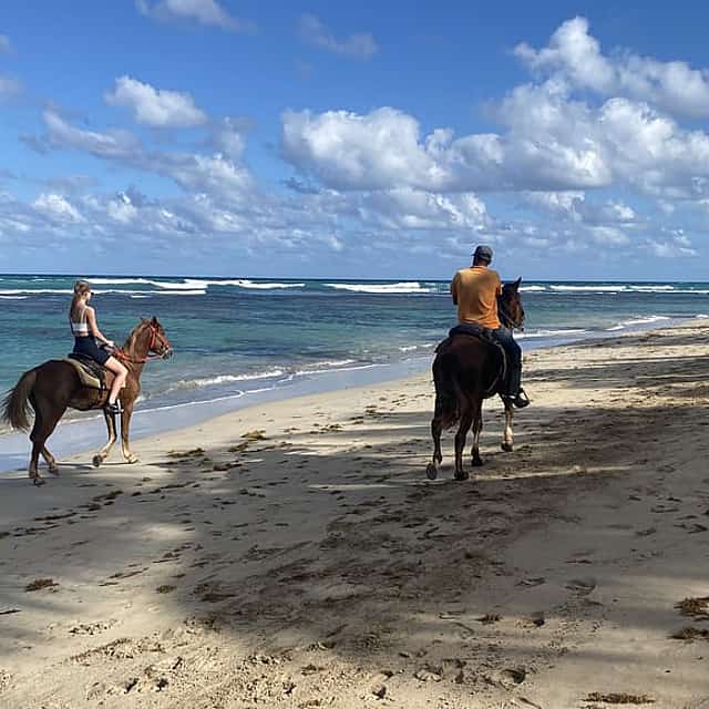 2-hour Horseback Riding Tour