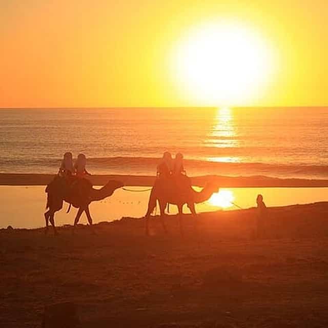Los Cabos Sunset Camel Ride & ATV Adventure