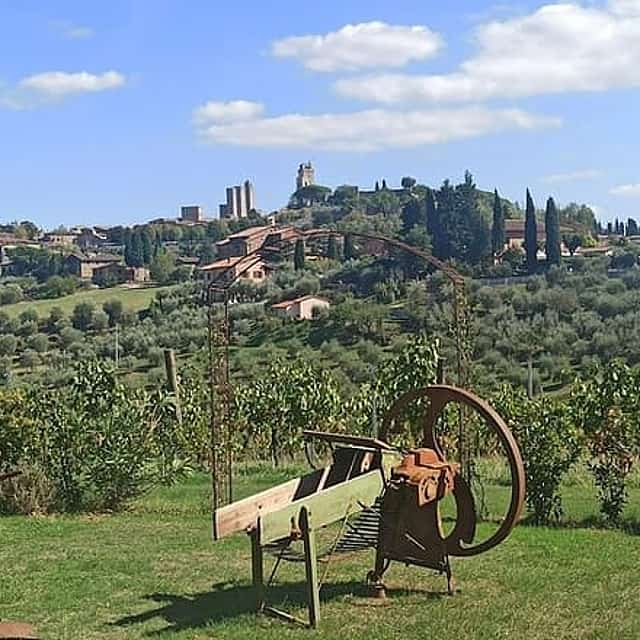 HALF-DAY: Chianti Classic Tour with Wine Experience & visit of San Gimignano