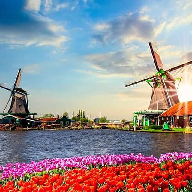 Özel Amsterdam Zaanse Schans Günübirlik Gezi, 3 Saatlik Gezinti"