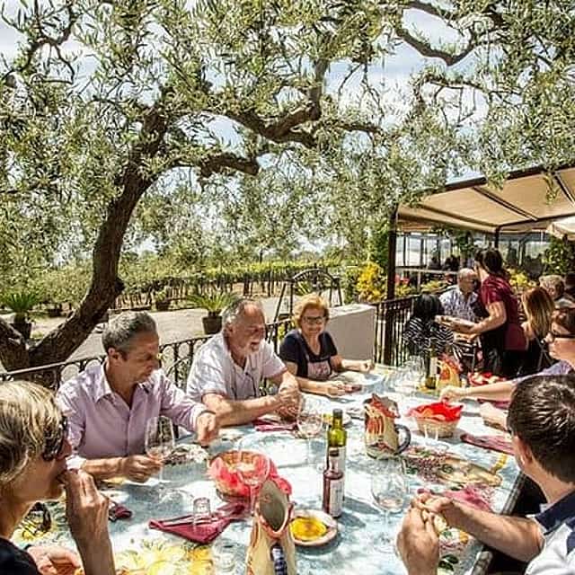 Wine & Food Tour at the Vesuvius Winery