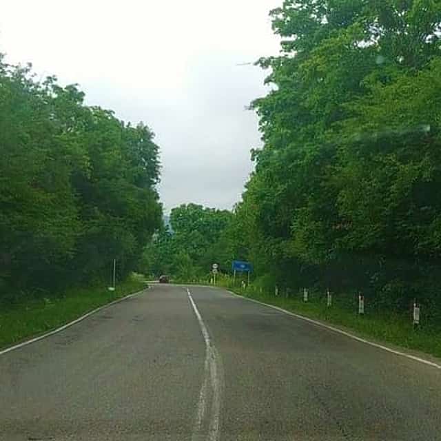 Тур по парку Вашловани: 3 дня дикой природы и приключений