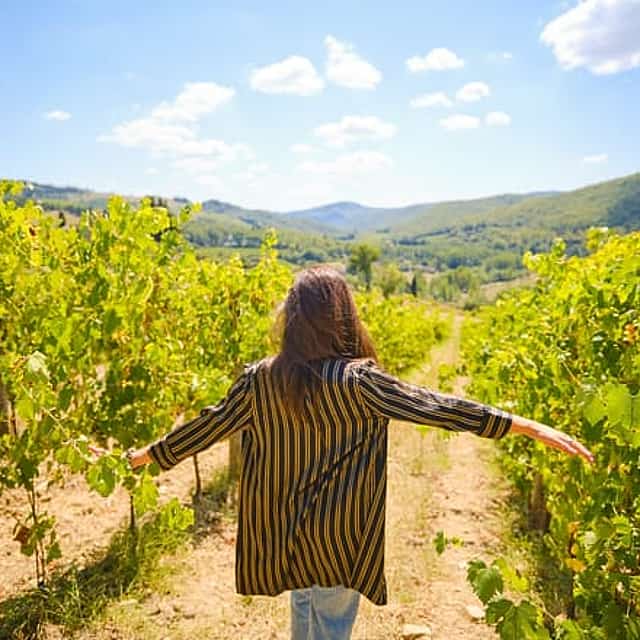 Private Half-Day Tour from Florence to Chianti Wine Region