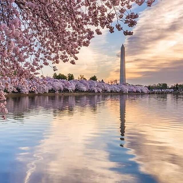 Washington DC Scavenger Hunt & Self-Guided Walking Tour