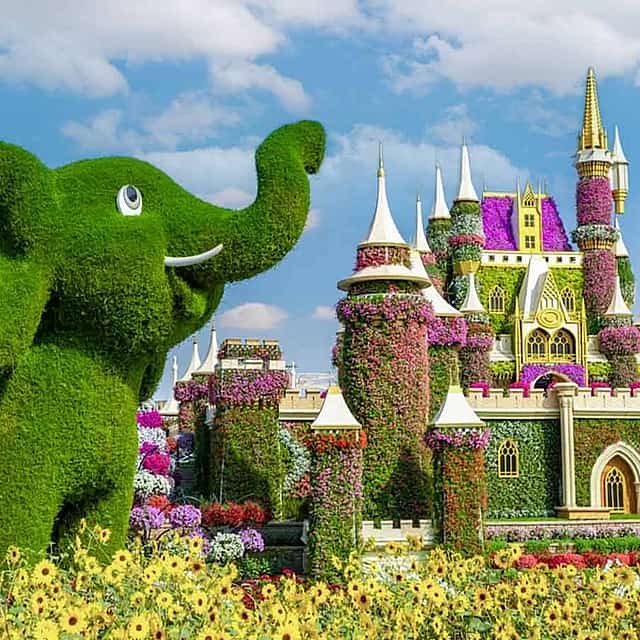 Круиз на традиционной арабской лодке доу по Dubai Marina с ужином и тур в Miracle Garden с частным трансфером.

