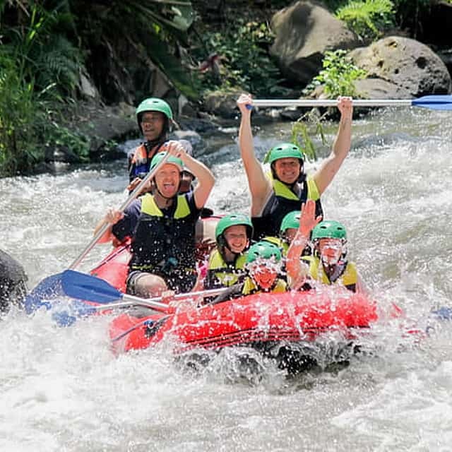 Full-Day Private White Water Rafting Ayung River and Ubud City Tour