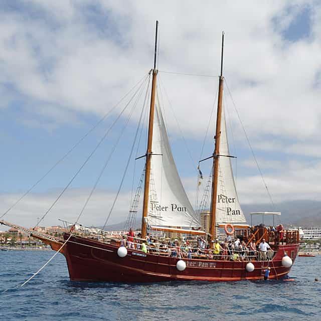 Tour met walvis spotten in Tenerife Peter Pan boot
