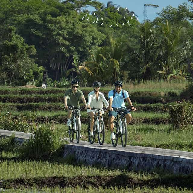 Bali: Kintamani to Ubud Downhill Cycling