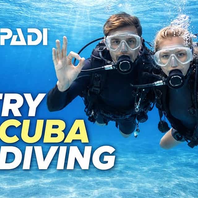 Experimenta el Buceo en Funchal
