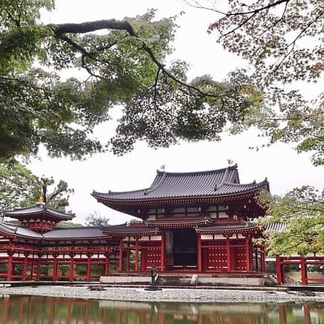 Kyoto Early Bird Tour in Uji and Fushimi Inari