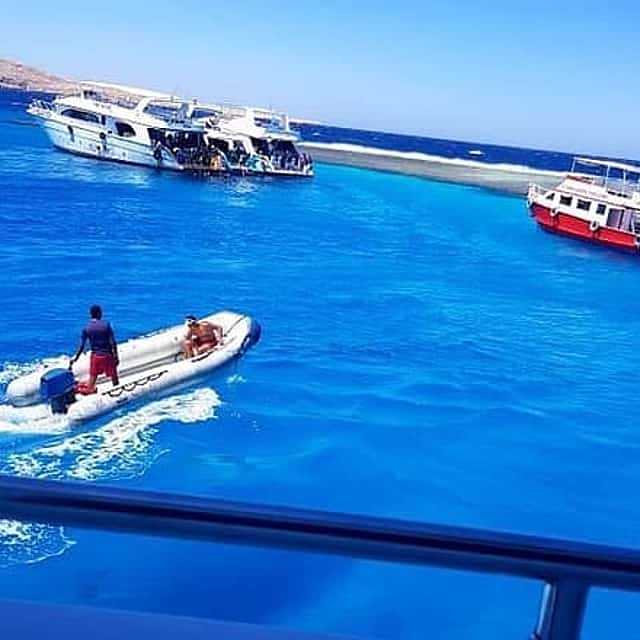 From hurghada get close to dolphins snorkeling tour