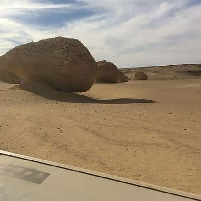 Private Day Tour to El Fayoum & Valley of the Whales from Cairo