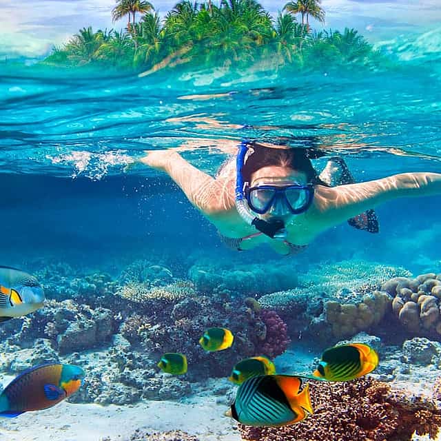 Zanzibar: Mnemba Island Snorkeling and Swimming with Dolphin