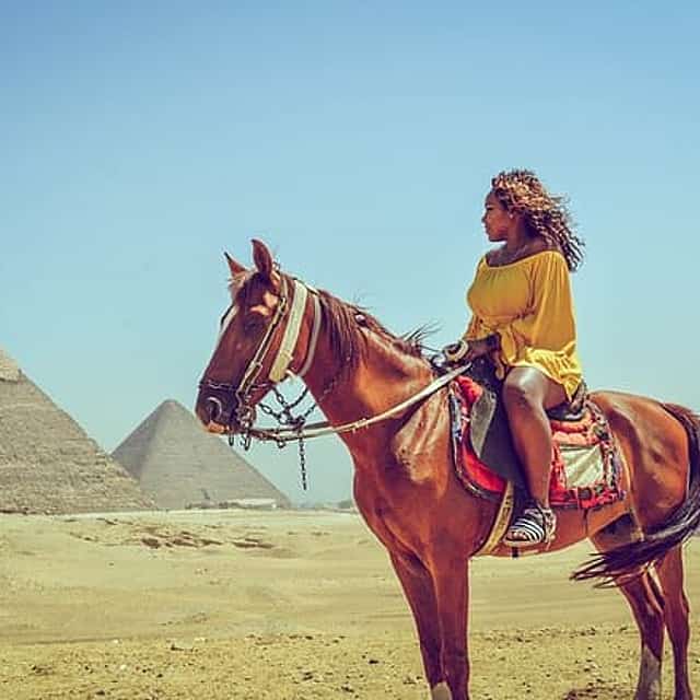 Private Arabian Horses Ride at the Pyramids With Pickup