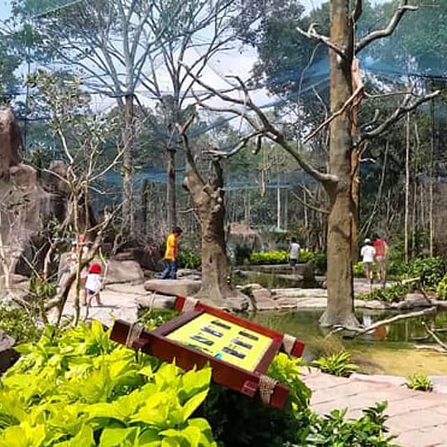 Vinpearl Land + Safari Ticket With Round Trip Transfer