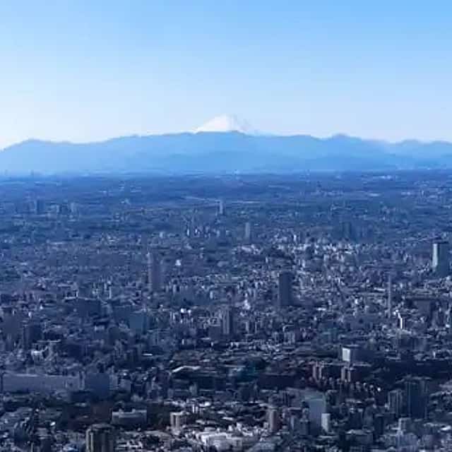 Tokio – Skytree, Ginza a helikoptérový let nad nádražím v Tokiu (1-3 osoby)