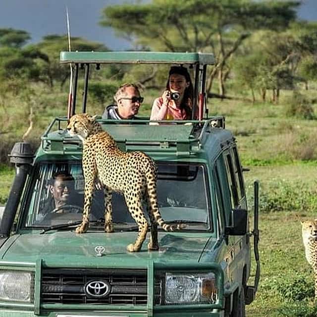 Private 3 Days Masai Mara Wildlife Luxury Jeep Safari
