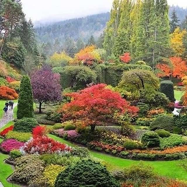 Vancouver, Victoria, Comox, Duncan,Nanaimo 2 day Explorer tour