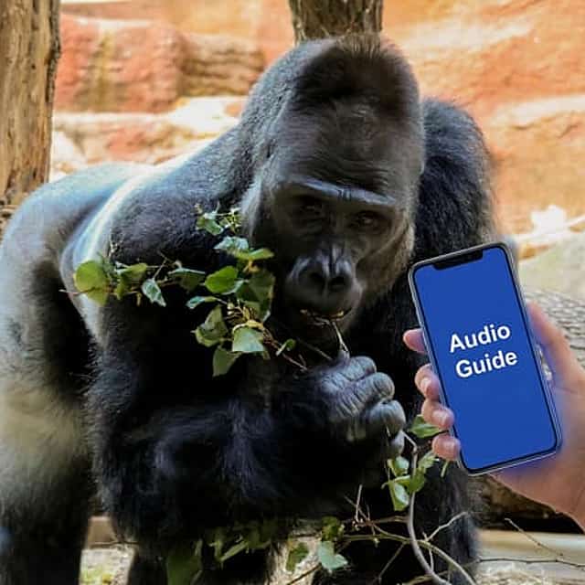 Prague Zoo Online Audio Guide